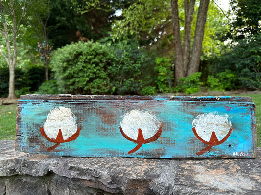 Three Cotton Bolls